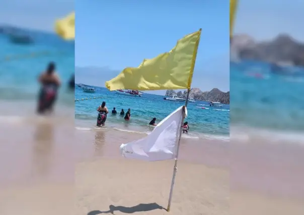 ¡Aguas con las medusas! Colocan banderas blancas en 3 playas de Los Cabos