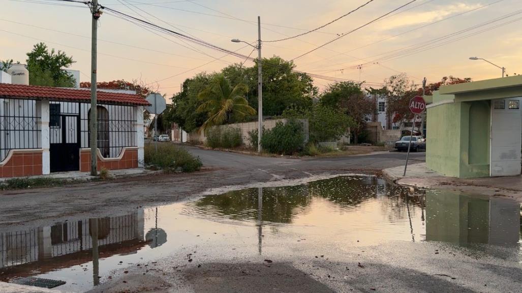 Primeras lluvias calman el calor sofocante en Yucatán