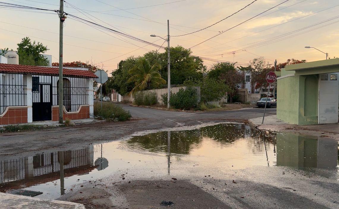 Se prevé que en los próximos días se registre una humedad máxima de 80% a 90% al amanecer. Foto: Irving Gil