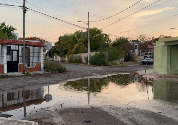 Primeras lluvias calman el calor sofocante en Yucatán