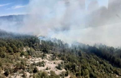 Conoce el reporte de incendios forestales en Durango