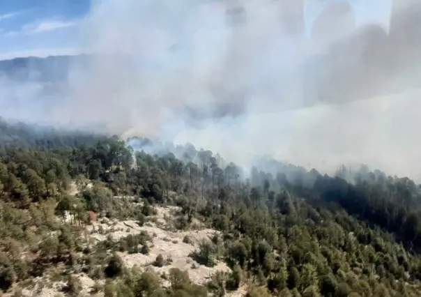 Conoce el reporte de incendios forestales en Durango
