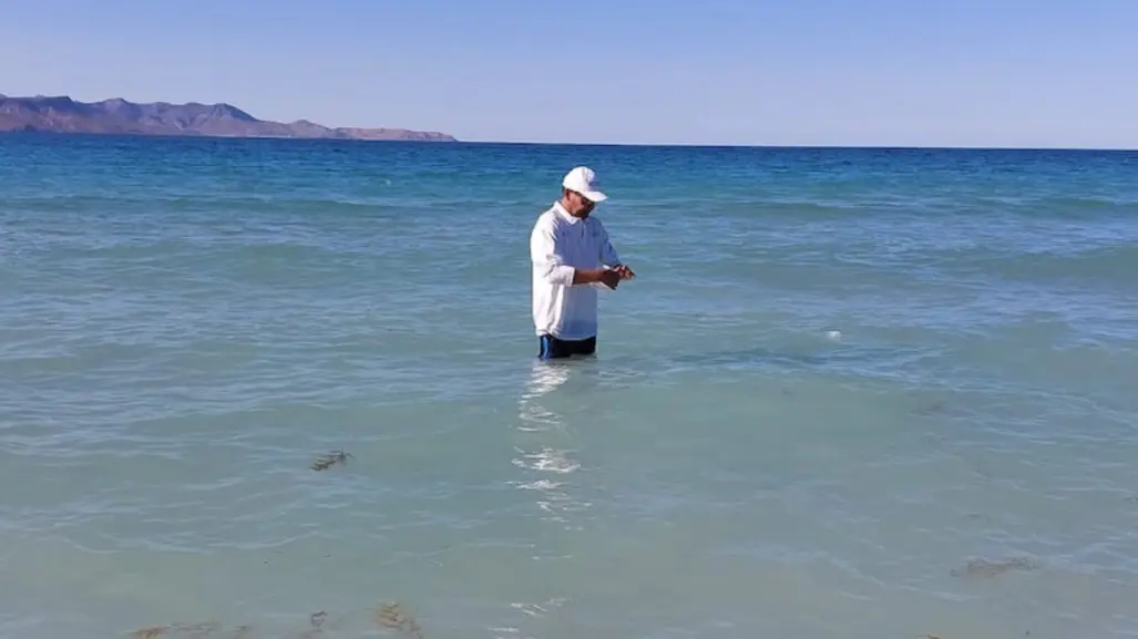 ¿Están contaminadas dos playas de La Paz? Esto dice la Coepris