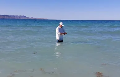 ¿Están contaminadas dos playas de La Paz? Esto dice la Coepris