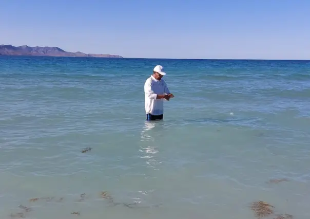 ¿Están contaminadas dos playas de La Paz? Esto dice la Coepris