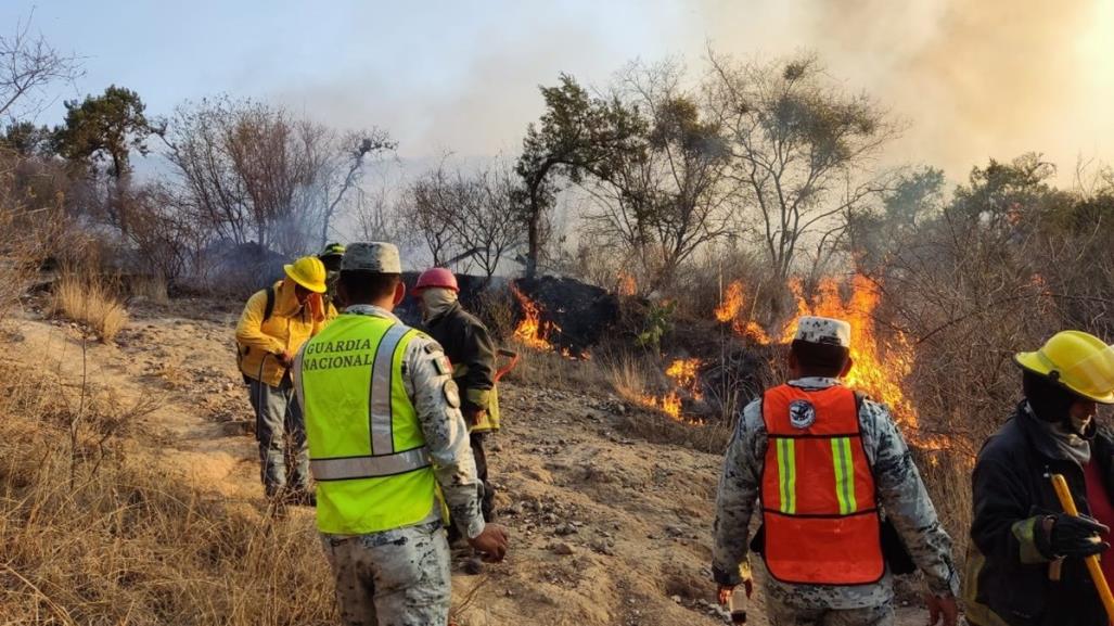 106 incendios forestales activos en todo México: CONAFOR