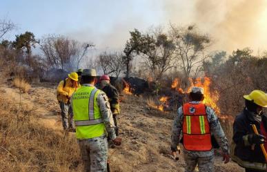 106 incendios forestales activos en todo México: CONAFOR