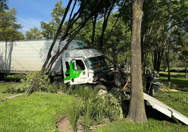 Trailero pierde el control de su unidad y derriba poste de concreto y árboles