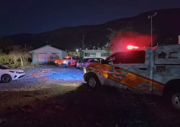 Ataque de abejas deja varios menores lesionados en secundaria de Monterrey