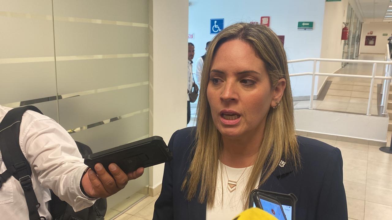 Alejandra Cárdenas Castillejos, diputada.