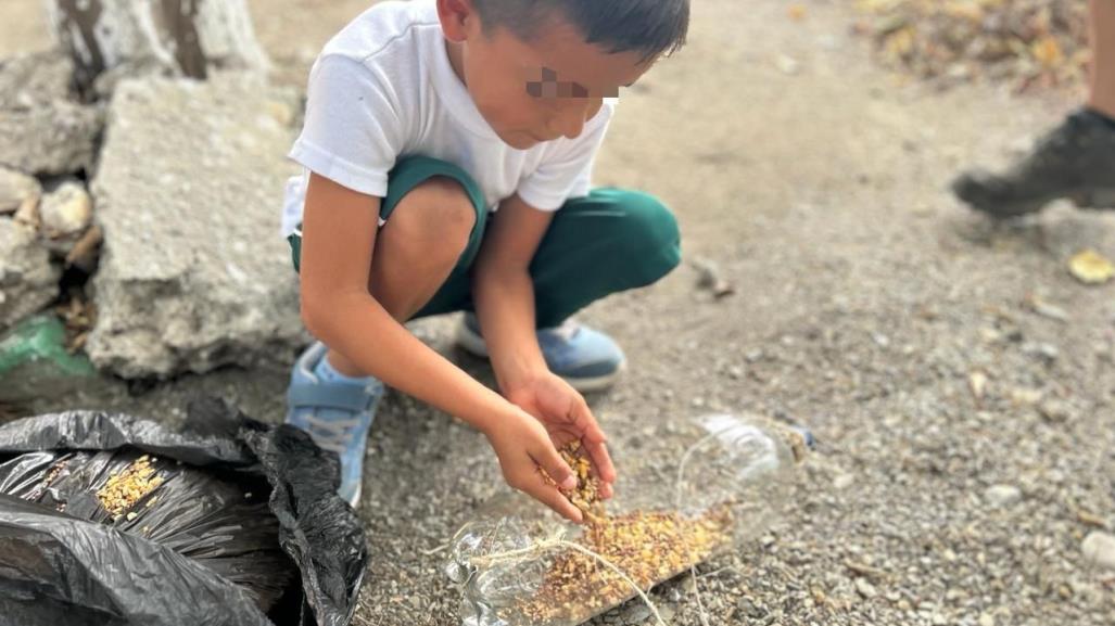 Elaboran niñas y niños bebederos para aves con material reciclable