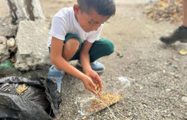 Elaboran niñas y niños bebederos para aves con material reciclable