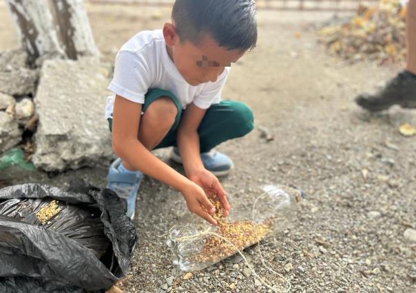 Elaboran niñas y niños bebederos para aves con material reciclable