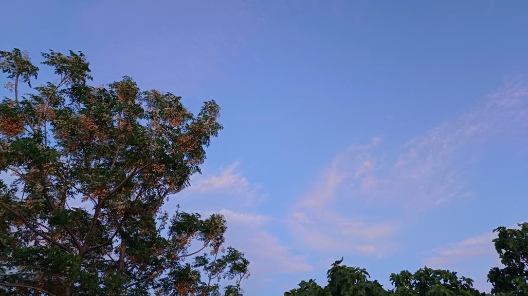 Rachas de viento, chubascos y calor para el territorio duranguense