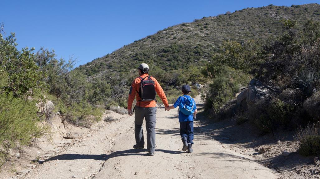 Historia y tradición del Día del Padre en México