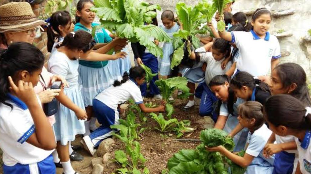 Impulsan iniciativa para reforzar educación ambiental en Tamaulipas