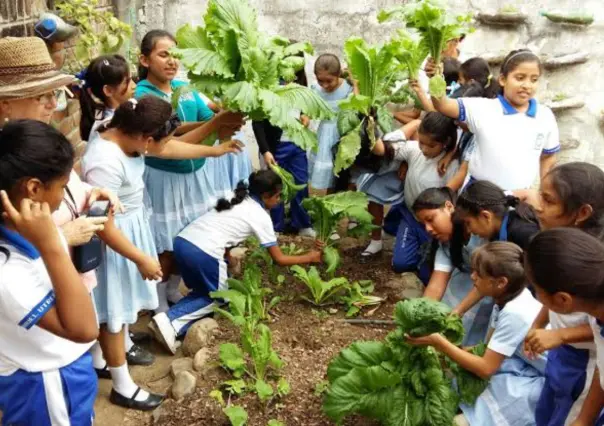 Impulsan iniciativa para reforzar educación ambiental en Tamaulipas