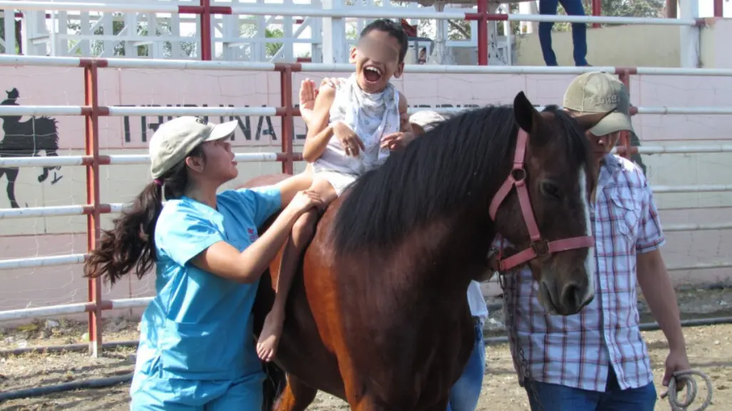 La equinoterapia en niños con discapacidad