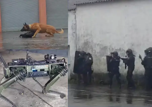 Simulacro terrorista prepara a España y Francia para Juegos Olímpicos de París