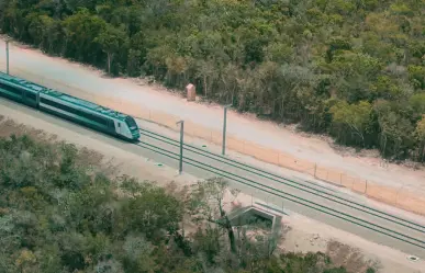 Expropian 40 terrenos en Yucatán para obras de infraestructura del Tren Maya