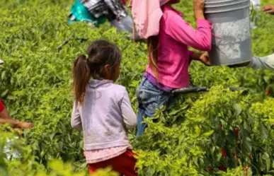 12 de junio día mundial contra el trabajo infantil