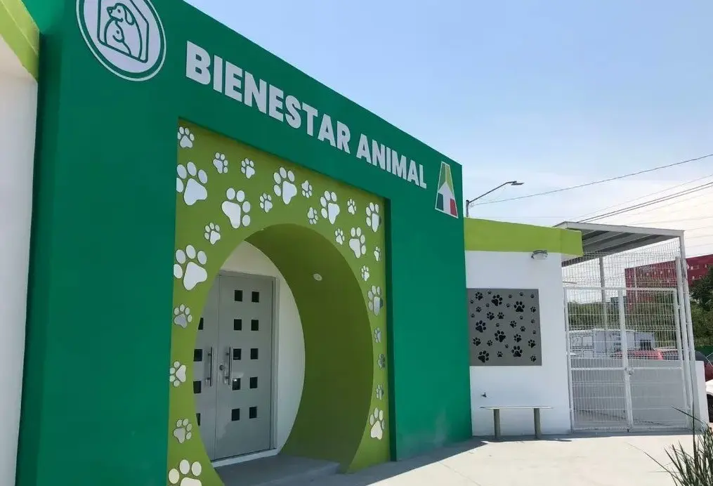 Esterilizan a 5 mil 800 animales en Apodaca