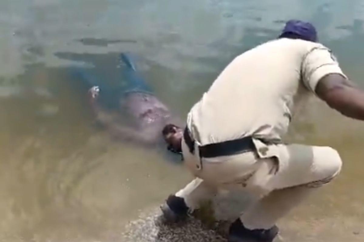 Hombre en lago de la India rescatado por un policía. Foto y video: X @sudhakarudumula