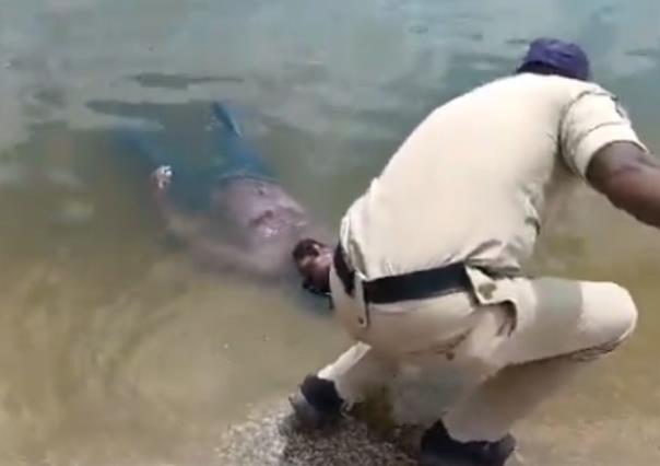 No estaba muerto, andaba de parranda: hombre ebrio flotaba en lago (VIDEO)