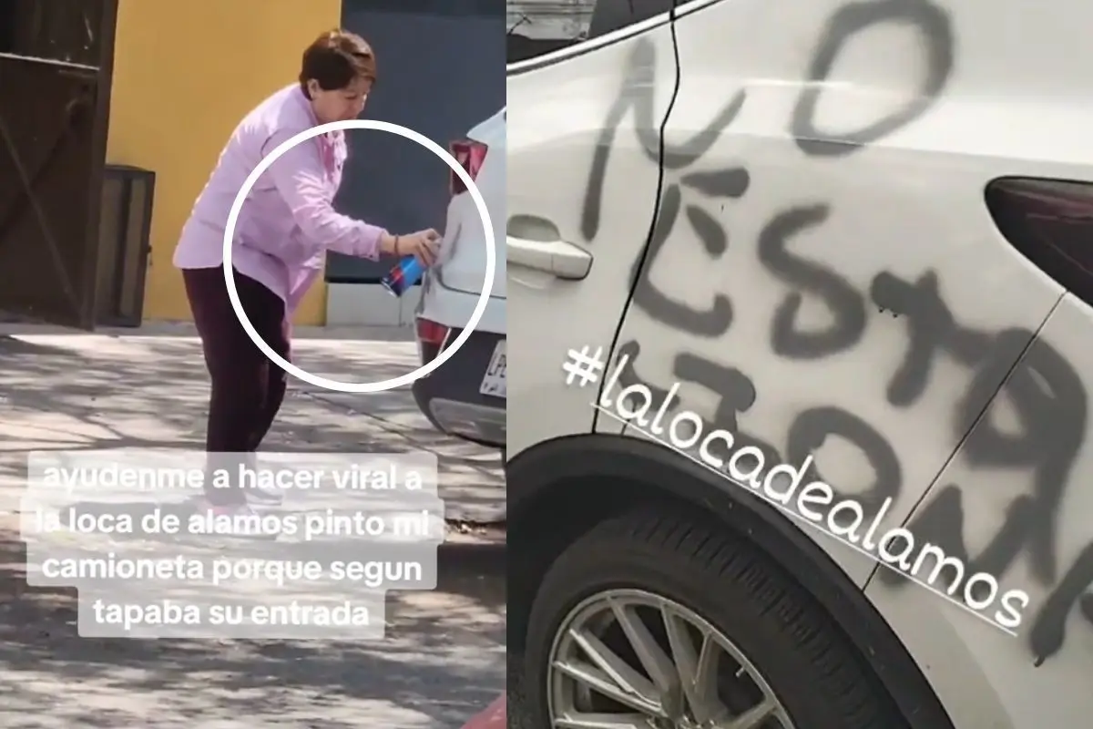 Mujer grafiteando camioneta en la CDMX. Foto: TikTok @brenda_barragan