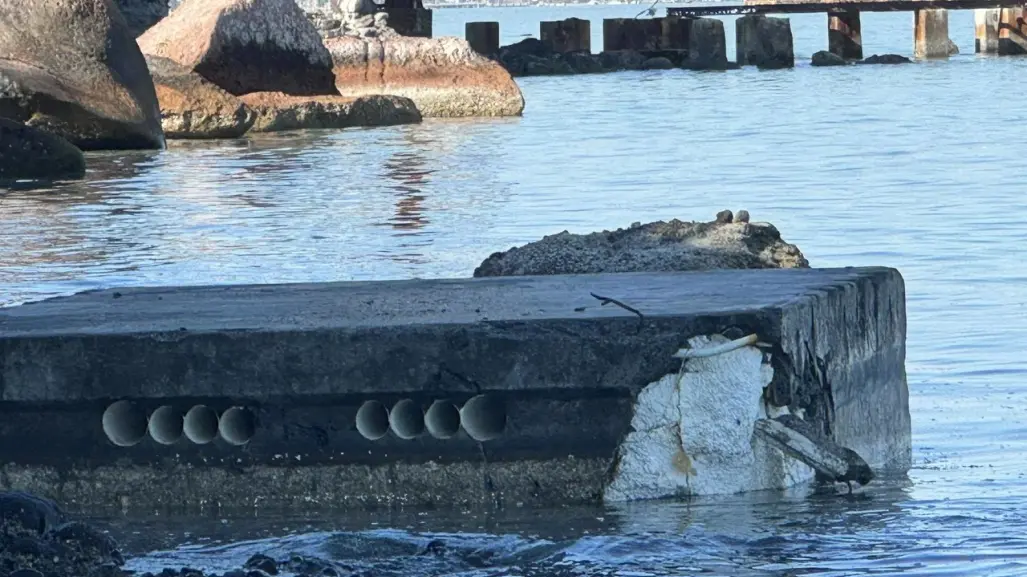 Mar Libre evita desastre ambiental al retirar muelle contaminante en La Paz, BCS