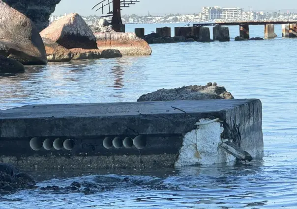 Mar Libre evita desastre ambiental al retirar muelle contaminante en La Paz, BCS