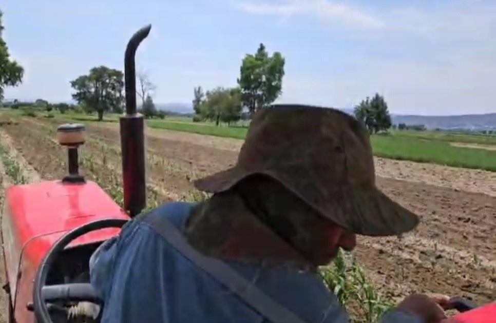 Un granjero cultivando sus cosechas a pesar de la sequía en Tlaxcala. Foto: El Sol de Tlaxcala.