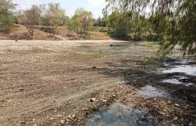 Encuentran peces muertos en balneario natural abandonado en Veracruz