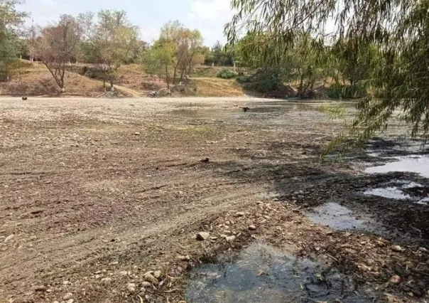 Encuentran peces muertos en balneario natural abandonado en Veracruz