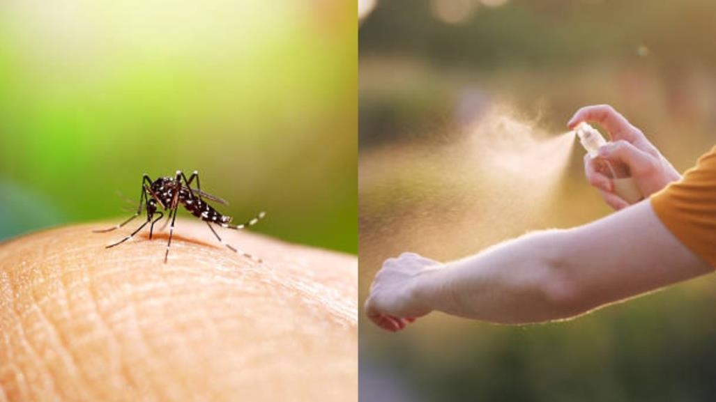 Alertan por aumento de casos de dengue en México: Conoce que es y como evitarlo