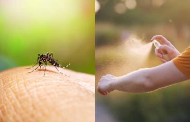 Alertan por aumento de casos de dengue en México: Conoce que es y como evitarlo