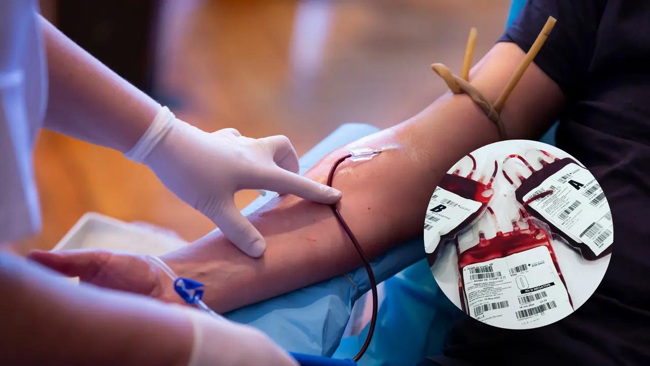 Persona donando sangre / Foto: CANVA