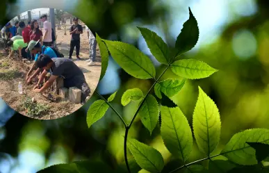 Monclova celebrará la 3° Feria del Medio Ambiente