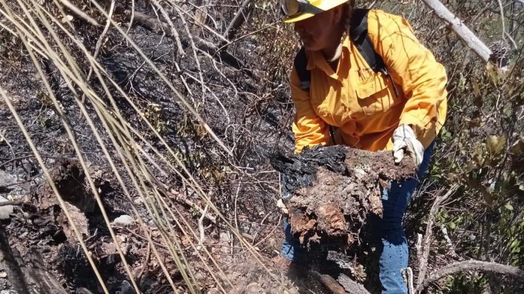 SEDUMA contrata brigadistas para combatir fuego en El Cielo