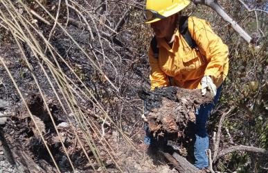 SEDUMA contrata brigadistas para combatir fuego en El Cielo