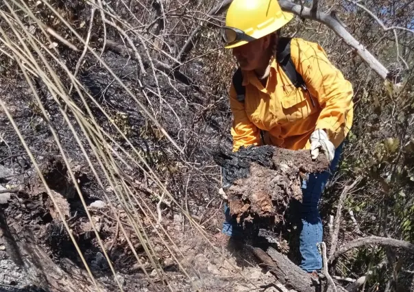 SEDUMA contrata brigadistas para combatir fuego en El Cielo