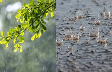 Nueva onda tropical No.3 y lluvias torrenciales al sureste de México