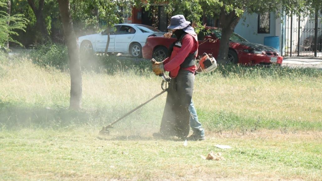 Realizan trabajos de deshierbe en plazas públicas de Juárez