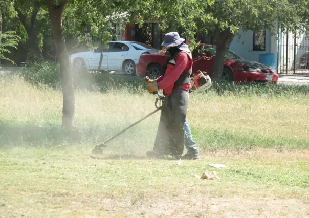 Realizan trabajos de deshierbe en plazas públicas de Juárez