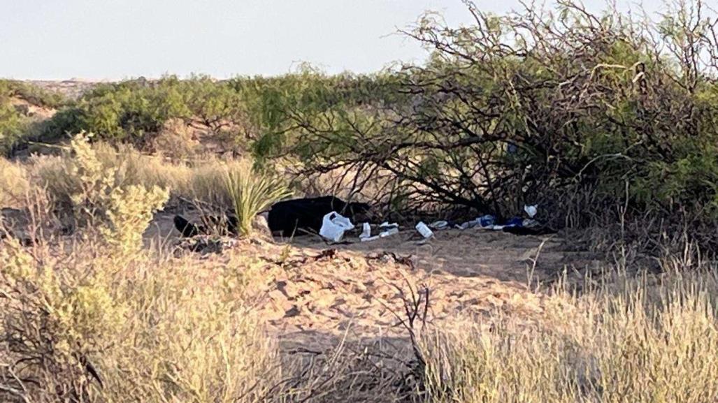 Muere mujer migrante en desierto de Chihuahua