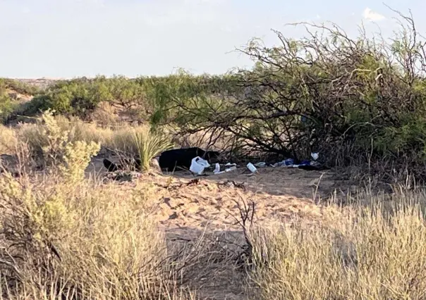 Muere mujer migrante en desierto de Chihuahua