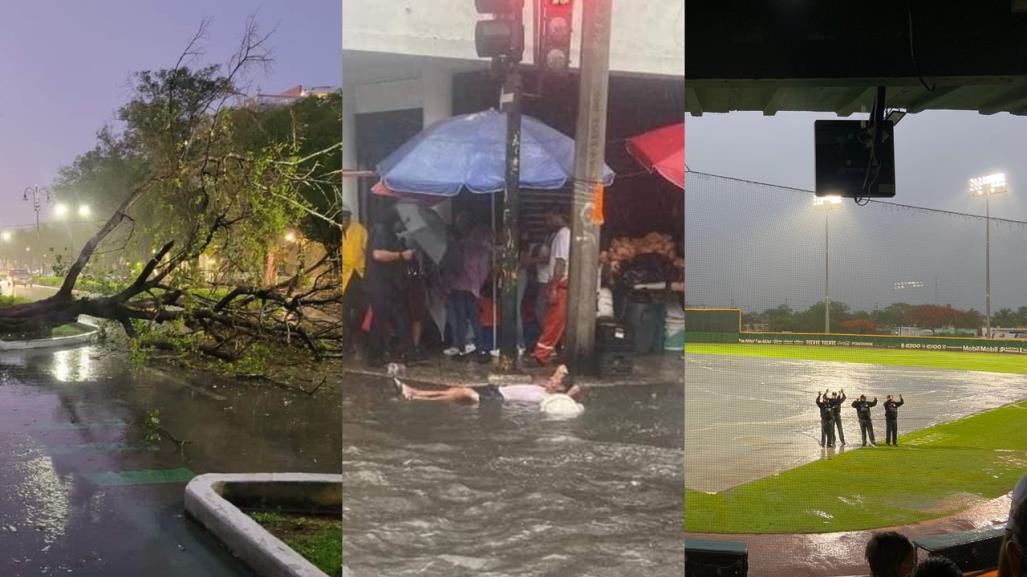 Lluvias en Mérida: Entre árboles caídos, calles inundadas y eventos cancelados