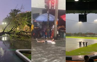 Lluvias en Mérida: Entre árboles caídos, calles inundadas y eventos cancelados