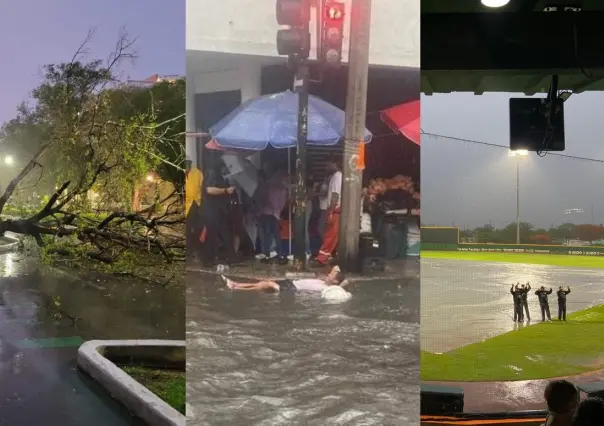 Lluvias en Mérida: Entre árboles caídos, calles inundadas y eventos cancelados