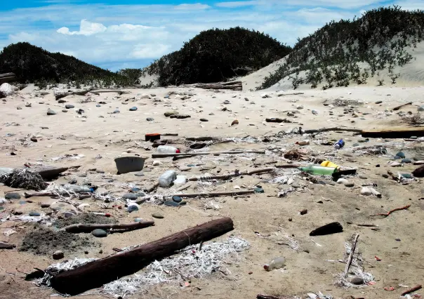 Playa Malarrimo en BCS: basurero histórico de la Segunda Guerra Mundial